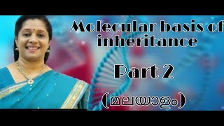 NEET MOLECULAR BASIS OF INHERITANCE PART2 DNA PACKAGINGCHARGAFFS RULE MALAYALAM [upl. by Lorine]