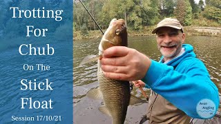 Trotting the River Wye For Chub  Stick Float Fishing  171021 Video 278 [upl. by Lyred]