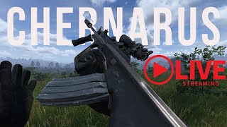 CHERNARUS ADVENTURES  DAYZ 1440P LIVESTREAM [upl. by Bhayani]