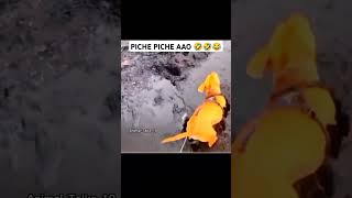 Piche piche aao😂🤣😅 reels viralvideo funny shorts [upl. by Aloisius]