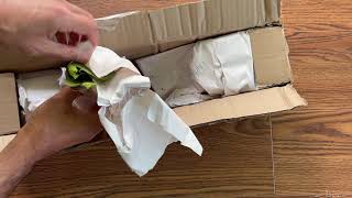 Nepenthes Unboxing From LynnsPlants [upl. by Attalie]