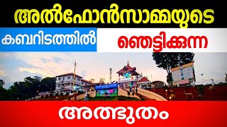 St Alphonsas Tombവിശുദ്ധ അൽഫോൺസാമ്മയുടെ കബറിടം [upl. by Analli537]