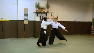 Aikido Embukai 122023  Shofukan eV Teil3 [upl. by Yrreb]