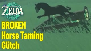 Zelda Tears of the Kingdom horse taming glitch INSANE EXPLOIT lets you catch horses instantly [upl. by Cartwright]