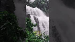 Chappanthottam kozhikode reels waterfalls water [upl. by Nuawad]