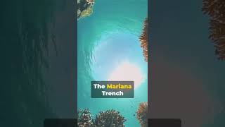 Mariana Trench The Mysterious Depths Of Our Planet Shorts [upl. by Ameh446]