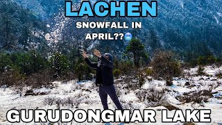 Lachen to Gurudongmar Lake  North Sikkim  Snowall in April 2021 😰  Lachen to Lachung [upl. by Kristian295]