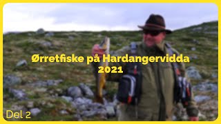 Del 2 Halne  Skaupa  Fisketur  Hardangervidda 2021 [upl. by Pruter]