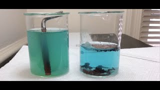 OxidationReduction Redox DIY Home Experiment [upl. by Damour]