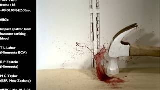 Impact hammer into blood on a hard surface  Blood Spatter Analysis [upl. by Narak448]