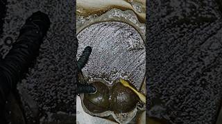 Cleaned the dirtiest mousepad rug carpet ASMR [upl. by Glovsky]