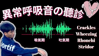 《異常呼吸音の評估》臨床音檔搭配聽診位置！Crackles、Wheezing、Stridor、Rhonchi！吸氣期吐氣期、聲音性質 [upl. by Venetia]