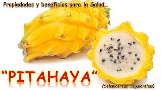 PITAHAYA  PROPIEDADES Y BENEFICIOS PARA LA SALUD [upl. by Anid]