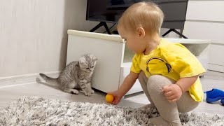 So Adorable Baby Boy Plays Ball With The Cutest Kitten [upl. by Jarrid]