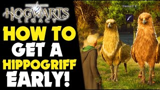 HOW TO GET A HIPPOGRIFF in HOGWARTS LEGACY  Hogwarts Legacy Gameplay PS5 Hogwarts [upl. by Autry]