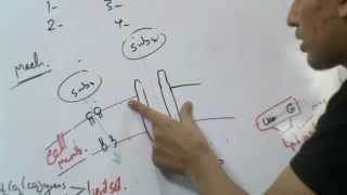 Introduction of Biophysics 1 [upl. by Akiemehs]