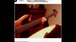 La faccia delle donne StadioVasco Rossi bass cover [upl. by Clere]