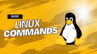 Basic Linux commands [upl. by Thrift]