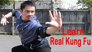 Shaolin Kung Fu Wushu Basic Training For Beginners  Session 1 [upl. by Einneg]