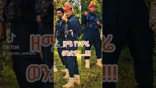 ላሊየይ  Best Amharic Music [upl. by Alexandro727]