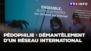 Enquête  Pédophilie  démantèlement d’un réseau international｜TF1 INFO [upl. by Kylen278]