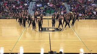 Denison High School Stingerettes Battle of the Axe 2017 [upl. by Nowtna754]