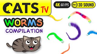 GAME FOR CATS  Worms compilation 😼 4K 🔴 60FPS 🕒 3 HOURS Cats TV [upl. by Ettedanreb455]