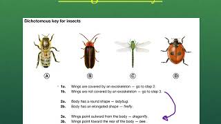 Unit 2 How to Use a Dichotomous Key [upl. by Dearr68]