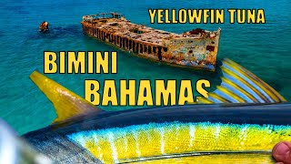 YELLOWFIN TUNA Fishing in Bimini the BAHAMAS  Into The Blue S8EP10 [upl. by Pyle70]