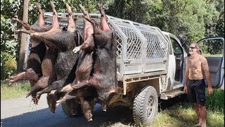 2021 Cooktown Pig Hunting Competition [upl. by Nwahsd]