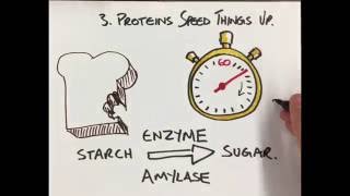 What is a protein [upl. by Huckaby]