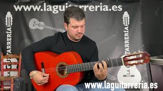 GUITARRA FLAMENCA PRUDENCIO SAEZ 1FP 22 [upl. by Akemaj56]