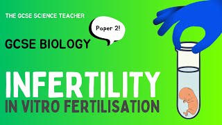 GCSE Biology In vitro Fertilisation IVF  AQA OCR Edexcel [upl. by Clywd962]