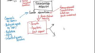 Neoplasia 3 Pathogenesis [upl. by Arevle]