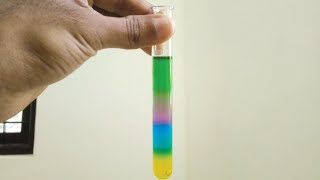 Make gradient colour water with Honey 🍯  Water density test [upl. by Eldorado]