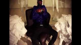 Fally Ipupa  Nyokalessé Clip Officiel [upl. by Nomelihp405]