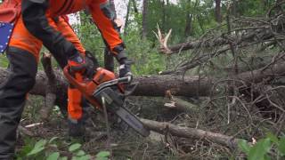 Trabajar con Motosierras Desrame Tensión en las ramas  Vídeo 22 [upl. by Vogele249]