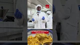 🍌Un Ivoirien consomme 120 kg de banane plantain par an [upl. by Anirec]