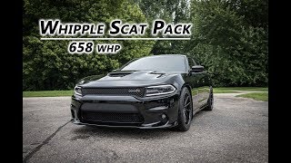 Supercharged amp Cammed Scat Pack Charger Dyno  658 whp [upl. by Ididn]