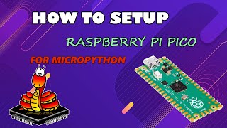 How to setup raspberry pi pico for micropython  How to install micropython in raspberry pi pico [upl. by Emmey406]