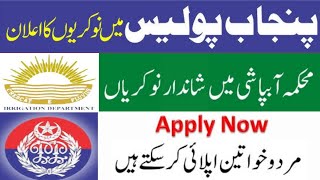 Punjab Police Assistant Jobs 2024 [upl. by Simons]