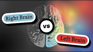 Right brain vs left brain and brain injury [upl. by Gabrila417]