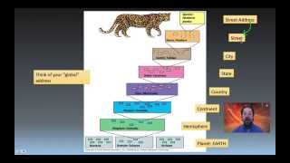 Taxonomy Phylogeny and Systematics [upl. by Nabila]