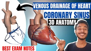 Venous drainage of heart anatomy  Coronary sinus anatomy  Coronary veins of heart anatomy [upl. by Nairda]