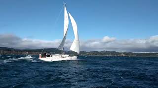 Precision Sails Review  Ranger 33 Mainsail amp Genoa [upl. by Markland]