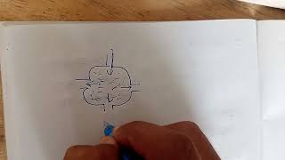 Fluid mechanics class 11 physics Hindi medium [upl. by Church366]