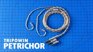 TRIPOWIN PETRICHOR Modular IEM Cable Review [upl. by Anallise]