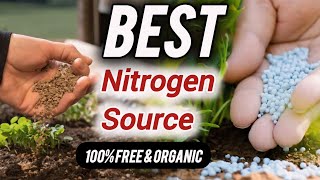 top 6 free Organic nitrogen source for plants  no cost [upl. by Whall]