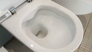 How to remove the Laufen PRO toilet lid Як зняти кришку унітаза Лауфен Про [upl. by Stillas]