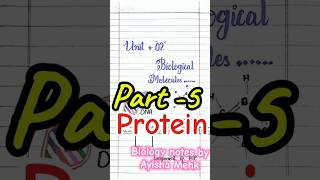 Protein biological molecules class 11 biology [upl. by Neirb]